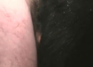 Anus fingered by a zoophile