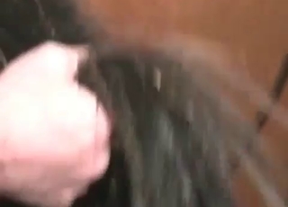 Anus fingered by a zoophile