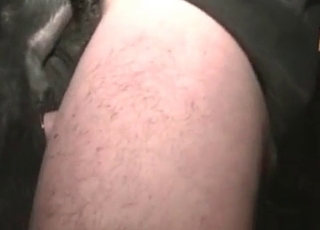 Anus fingered by a zoophile