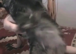 Fatty enjoying doggy’s cock