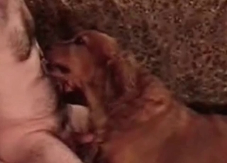 Tyke sucking dudes dick