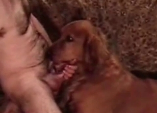 Tyke sucking dudes dick