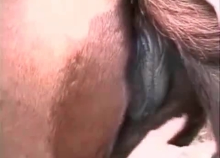 Redhead and her horny horse