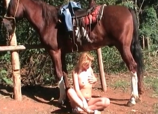 Brown mare and a blondie