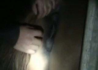 Bestial farm sex in the night