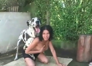Dalmatian is fucking a zoophile