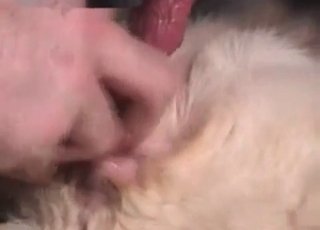 Nasty sex with a hot doggy