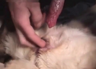 Nasty sex with a hot doggy