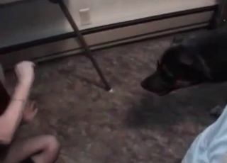 Blonde sucks a hairy doggy