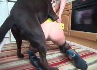Doggy style fuck of a brunette