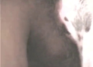 Farm animal fucked in the anus