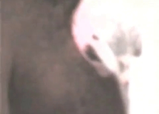 Farm animal fucked in the anus