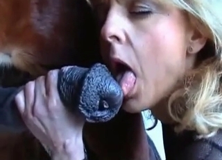 Skinny milf and her brown horse