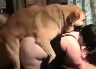Beauty pounded by a cur
