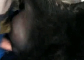 Farmer fucks his black horse