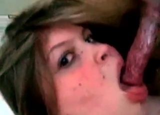 Chick sucking puppy’s dick