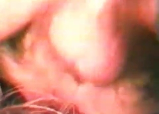 Dudes being licked out by dog