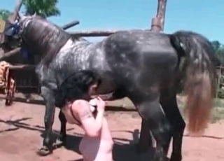 Kinky zoophile blows a horse