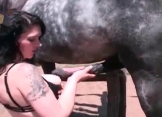 Kinky zoophile blows a horse