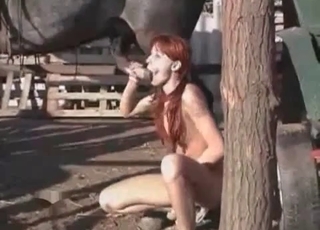Redhead babe sucks her horse