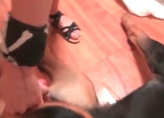 Lovely tyke fucking girl