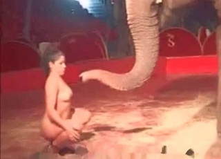 Elephant and hot naked stripper
