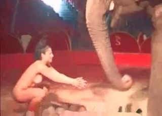 Elephant and hot naked stripper