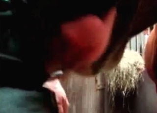 Blowjob provided by a doggy