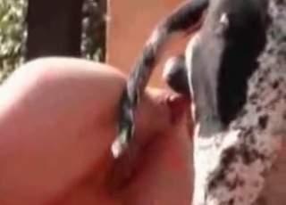 Hot dog nailing a mature lady