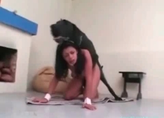 She is really enjoying her animal
