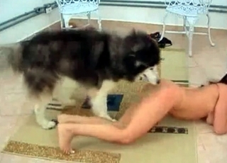 Husky fucks in the doggy style