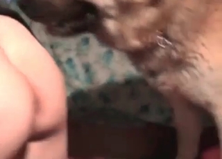 Mature lady and a dog