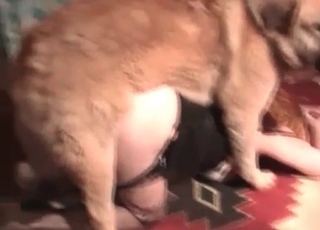Mature lady and a dog