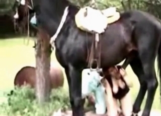 Big horse cock fucks a whore