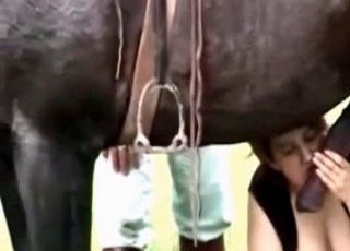 Big horse cock fucks a whore