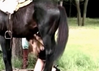 Big horse cock fucks a whore