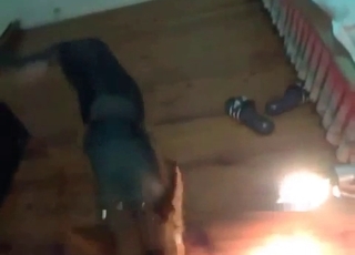 Shepherd gets screwed from behind