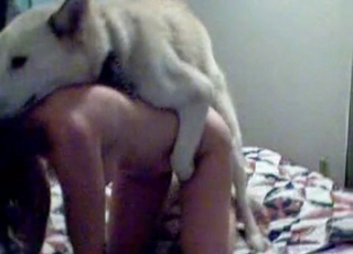 White mongrel and girl