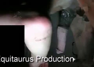 Enormous stallions cock
