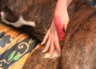 Submissive blonde fucks with a dog
