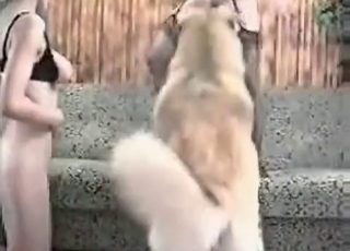 Two sluts with a hound