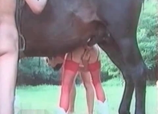 Black mustang fucking a cutie