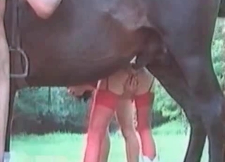 Black mustang fucking a cutie