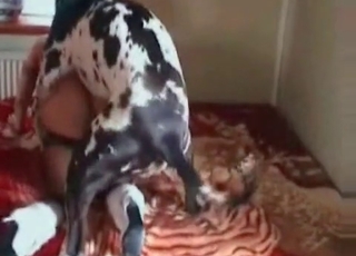 Blondie nailed by a cur