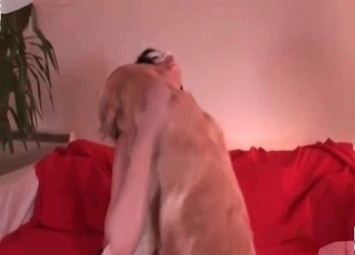 Girl licked out by a dog