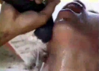 Dirty babe gets some animal cum