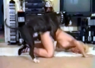 Doggy fucking sexy babe
