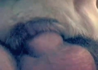 Dude jerks off in zoo sex scene