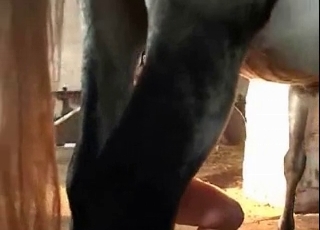 Hound in a bestiality sex scene