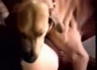 Two chicks and a puppy